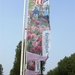 Keukenhof077 (Medium)
