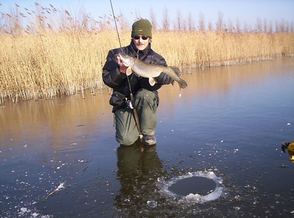 Hij kon er net doorheen!
