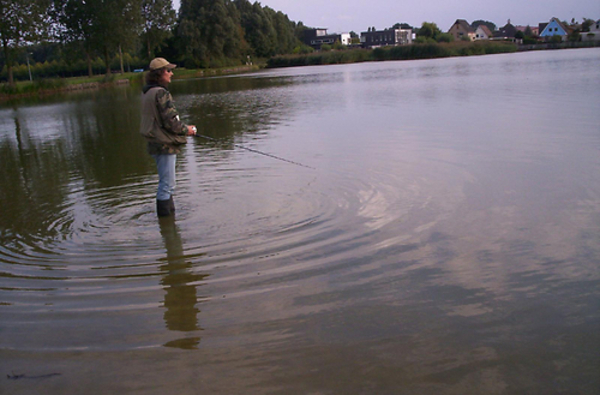 Iets dichterbij lukt misschien beter