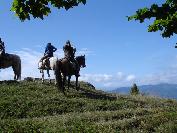 Pyrenen