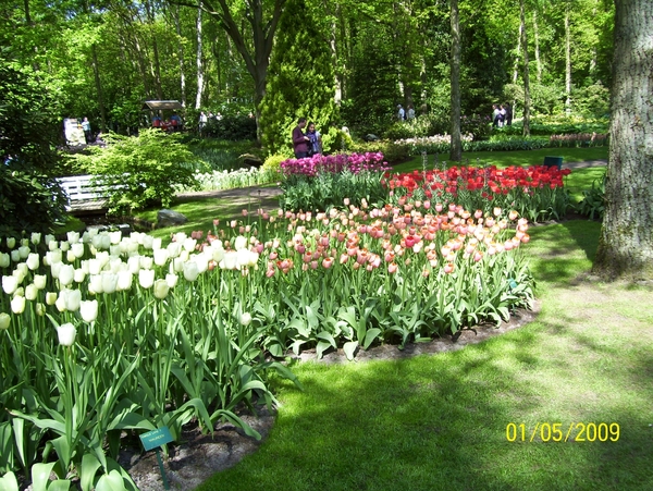 100_0562