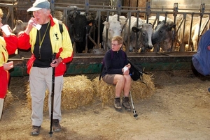 Controlesamen eten met de koeien