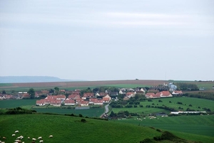 DSC_0010