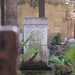 RHODOS 2009 065