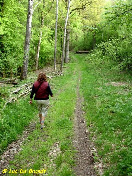 Ardennen Adeps wandeling Gochene