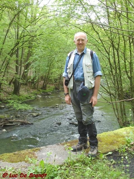 Ardennen Adeps wandeling Gochene