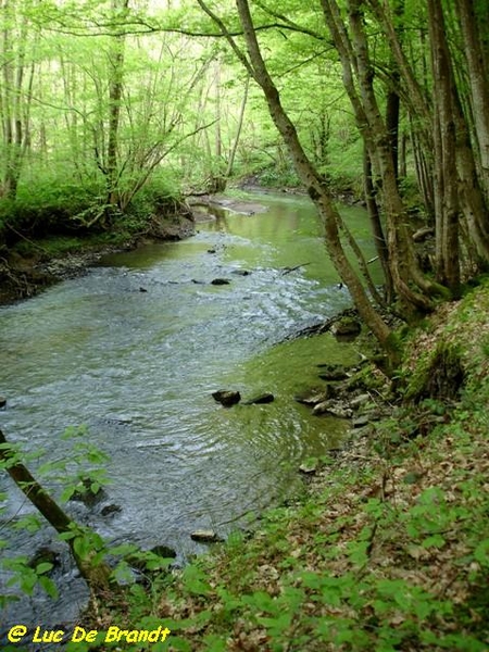 Ardennen Adeps wandeling Gochene