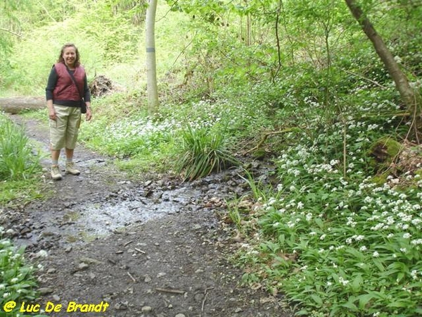 Ardennen Adeps wandeling Gochene