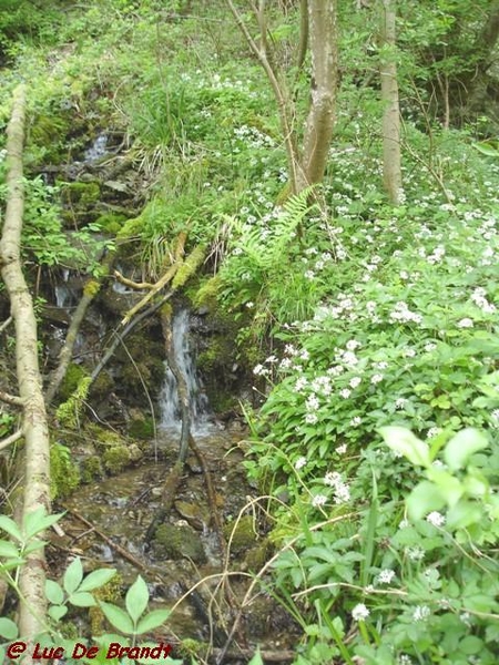 Ardennen Adeps wandeling Gochene