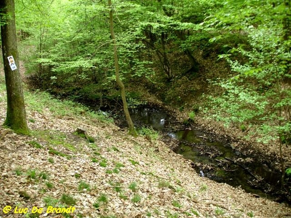 Ardennen Adeps wandeling Gochene