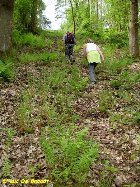 Ardennen Adeps wandeling Gochene