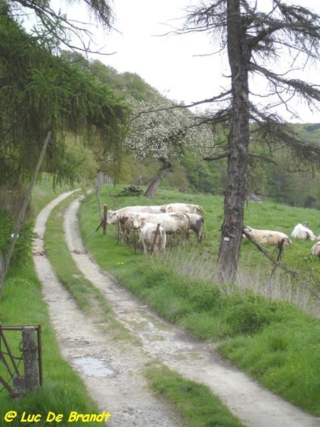 Ardennen Adeps wandeling Gochene