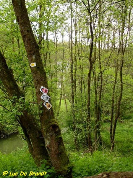 Ardennen Adeps wandeling Gochene