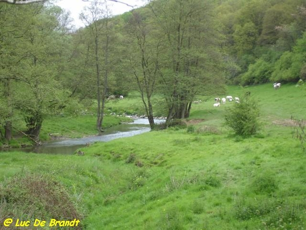 Ardennen Adeps wandeling Gochene