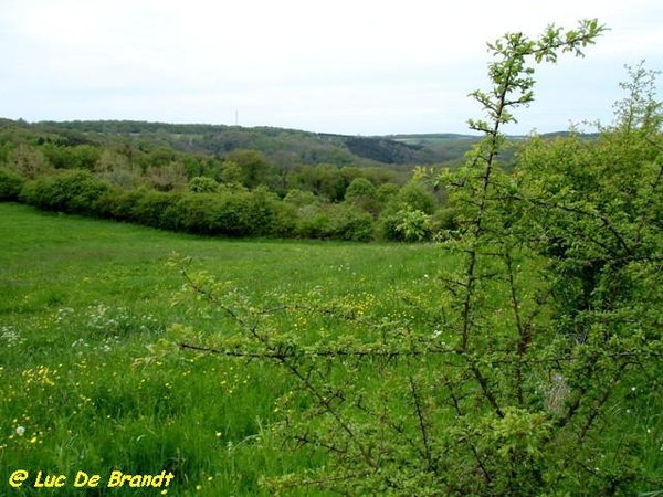 Ardennen Adeps wandeling Gochene