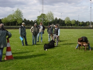 barage debutanten voor plaats 2,3, en vier