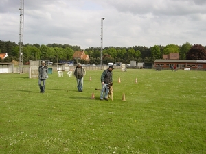 jefke en frodo in actie