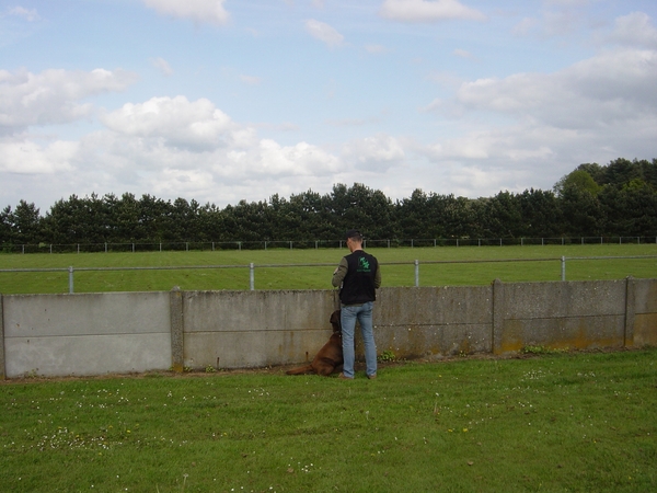 ivo nog alleen in afzondering