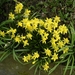 dscn0735