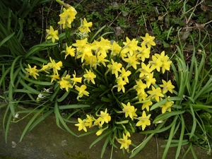 dscn0735