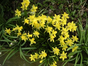 dscn0736