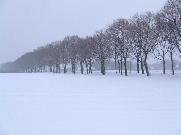 wandelen 2009 (13)