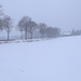 wandelen 2009 (15)