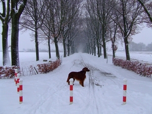 wandelen 2009 (16)