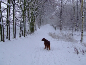 wandelen 2009 (20)