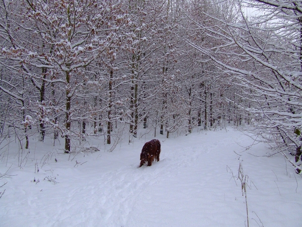 wandelen 2009 (22)