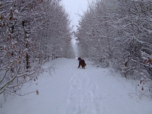 wandelen 2009 (23)