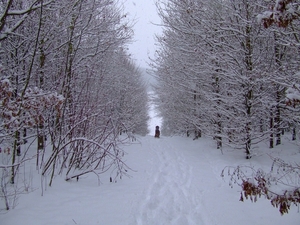 wandelen 2009 (24)