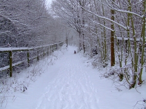 wandelen 2009 (27)