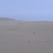 wandelen 2009 (41)