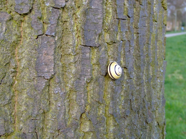 wandelen 2009 (49)