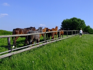 wandelen 2009 (68)