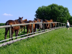 wandelen 2009 (69)