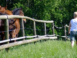 wandelen 2009 (71)