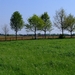 wandelen 2009 (75)