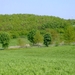 wandelen 2009 (76)