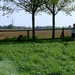 wandelen 2009 (77)