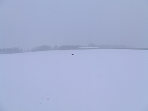 wandelen 2009 (8)