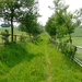 Wandelen 2009 095