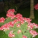 DSC00236