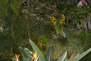 DSC00253