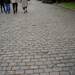 DSCI0344