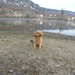 trucky aan het meer