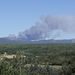 een bos brandje