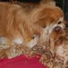 Joe & Jassha