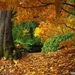 Herfst 1